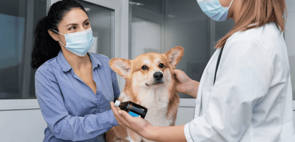 Veterinary Appointment Scheduling