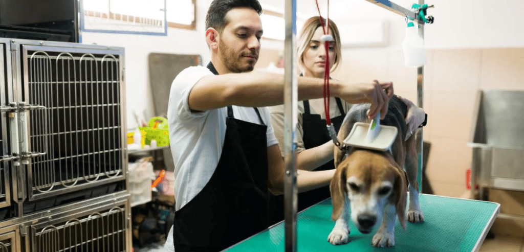 Pet Grooming Booking